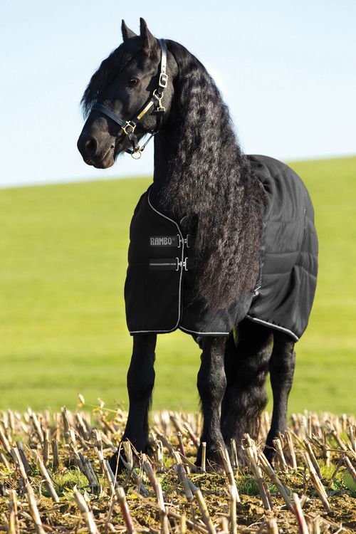 Rambo Stable Blanket 200g - Black/Black/Silver