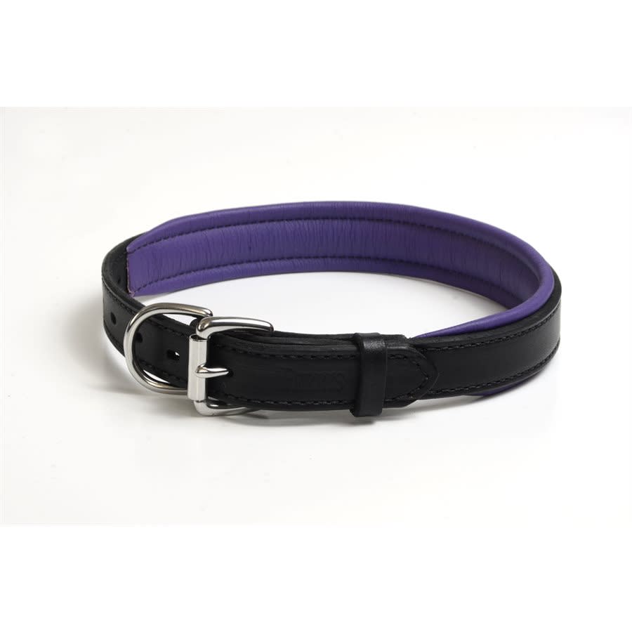 Purple leather best sale dog collars