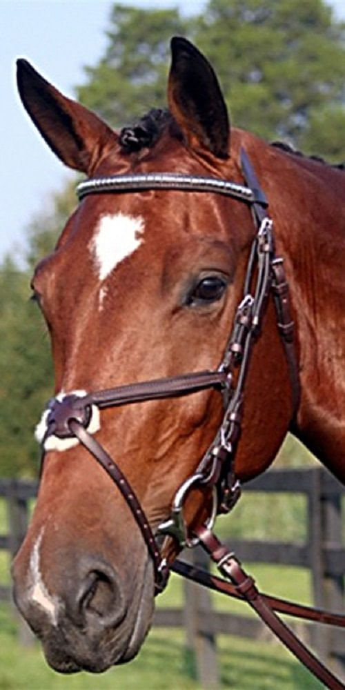 Nunn Finer Figure 8 Clincher Browband Padded Event Bridle - Black/Zinc