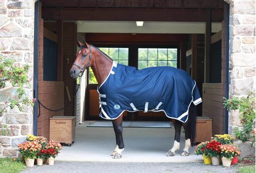 Centaur TG2 Horse Blanket - Navy