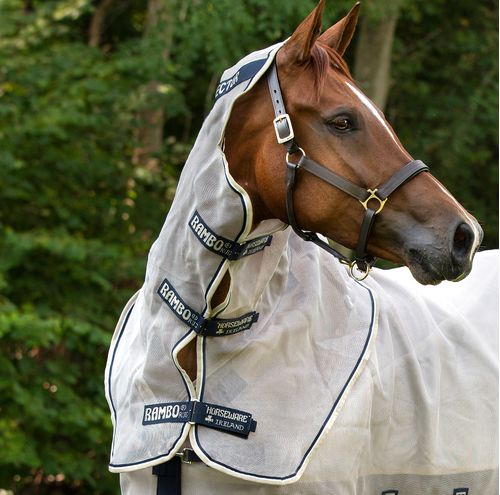 READY TO SHIP: Rambo Protector Neck Cover - Small - Oatmeal/Navy/White/Beige