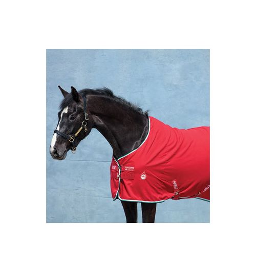 READY TO SHIP: Amigo Polyester Stable Sheet - 72 - Red/White/Green/Black