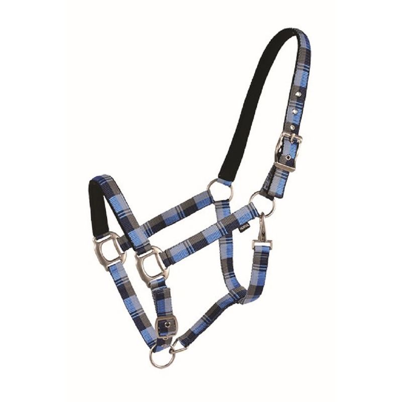 READY TO SHIP: Western Rawhide Country Legend Nubuck Padded Halter - Cob -  Navy/Baby Blue/Grey