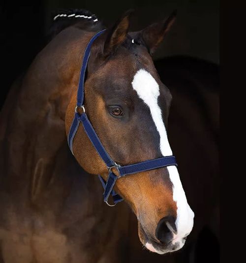 READY TO SHIP: Amigo Halter - Cob - Navy