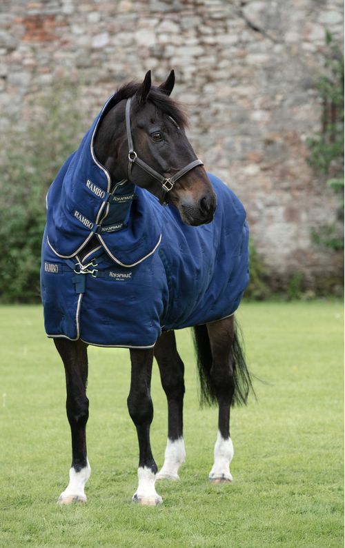 READY TO SHIP: Rambo Deluxe Stable Plus 200g - 66 - Navy/Champagne/Navy