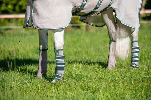 READY TO SHIP: Rambo Flyboot Airmesh w/o Vamoose - Cob - Oatmeal/Sage/Beige/Green
