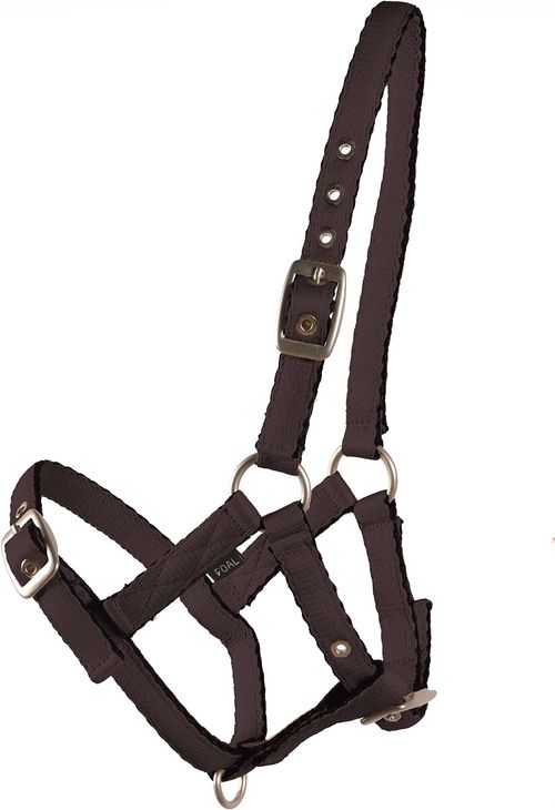 Western Rawhide Country Legend Adjustable Cushion Web Foal Halter - Navy