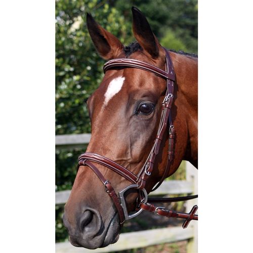 Nunn Finer Modena Flash Bridle - Havana