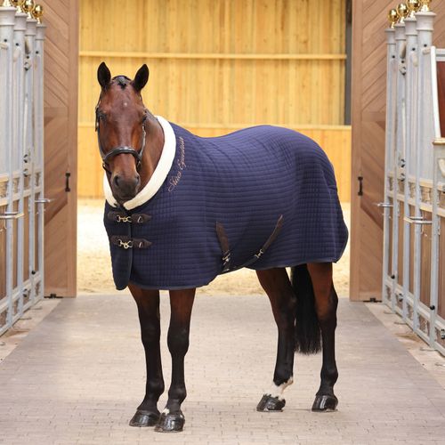Shires Deluxe Tech Cooler - Navy