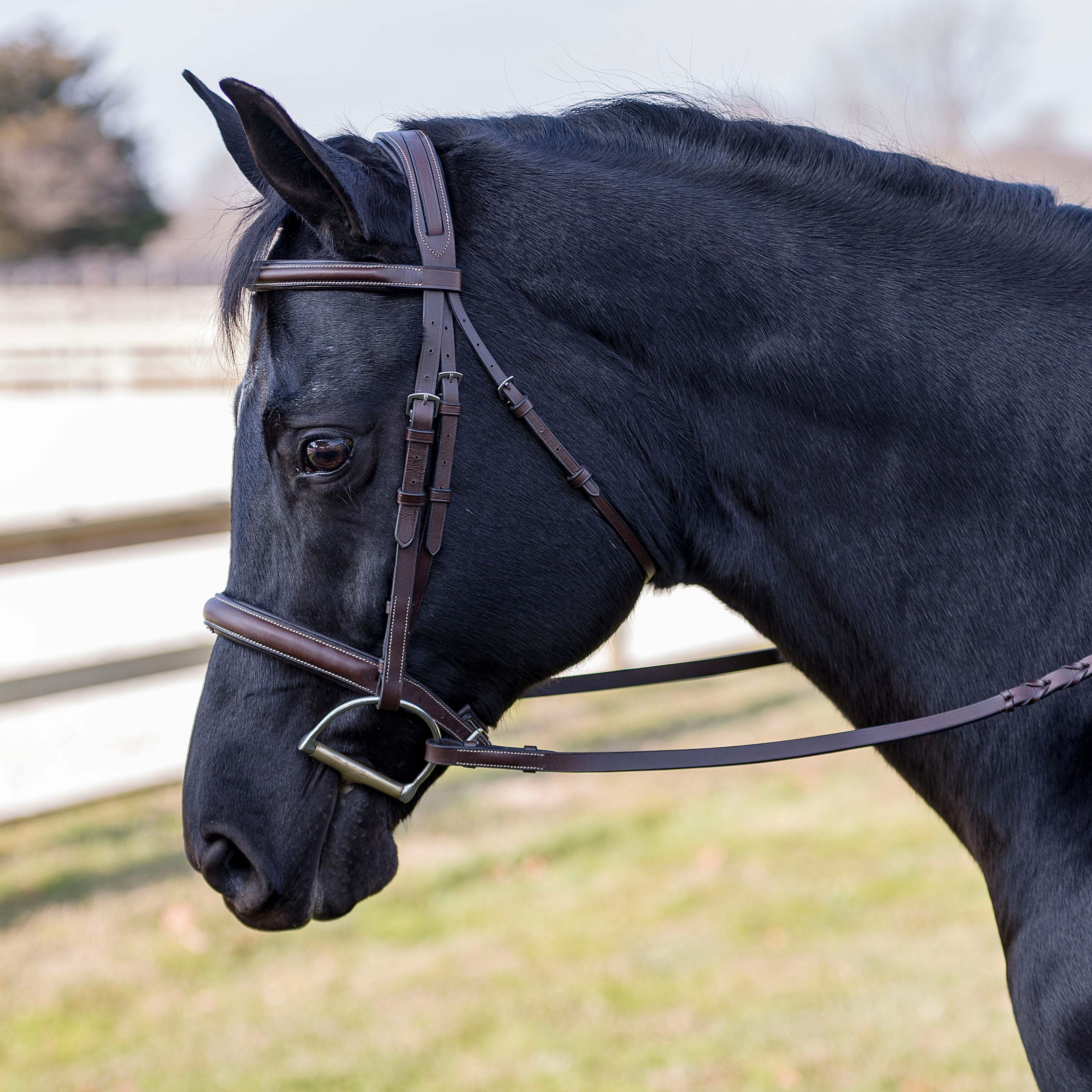 Flex Rider Elegance Hunter Snaffle Bridle - Chocolate - Flex Rider-3046 ...