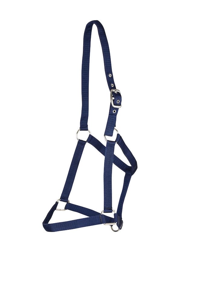 Roma Everyday Headcollar Navy Roma-BNX100255-Navy Tack Of