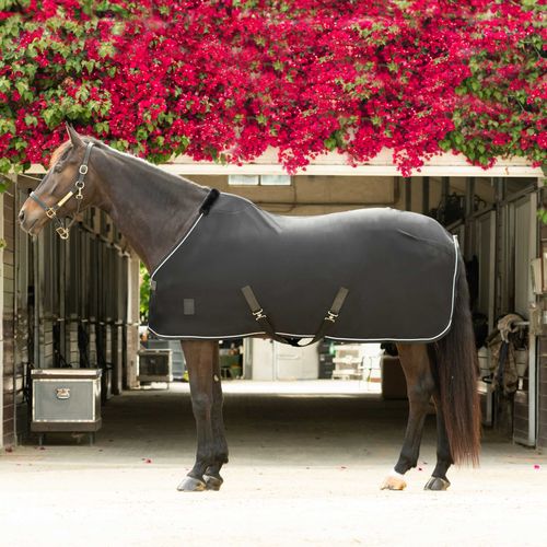Equinavia Torr Quick Dry Cooler - Black