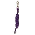 Purple/Navy