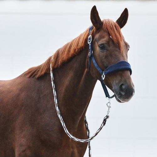 Horze Kiel Halter w/Fleece - Dark Navy