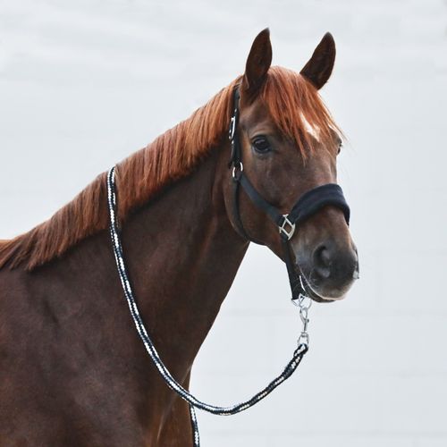 Horze Kiel Halter w/Fleece - Black