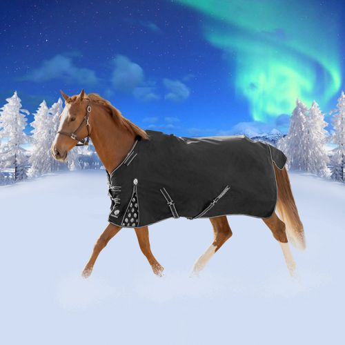 Equinavia Norse Heavy Weight Turnout Blanket 300g - Black