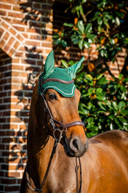 Horseware Signature Ear Net - Hunter Green