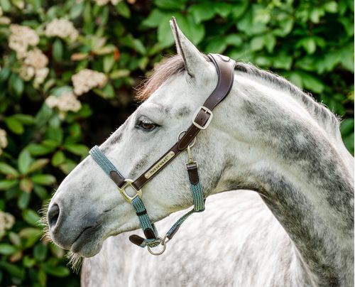 Horseware Signature Braided Halter - Brown/Navy/Blue Haze