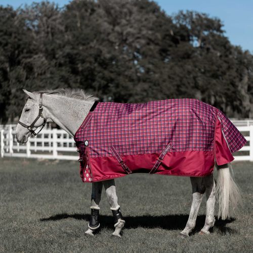 Equinavia Arktis Regular Neck Heavy Weight Turnout Blanket 300g - Cranberry Red