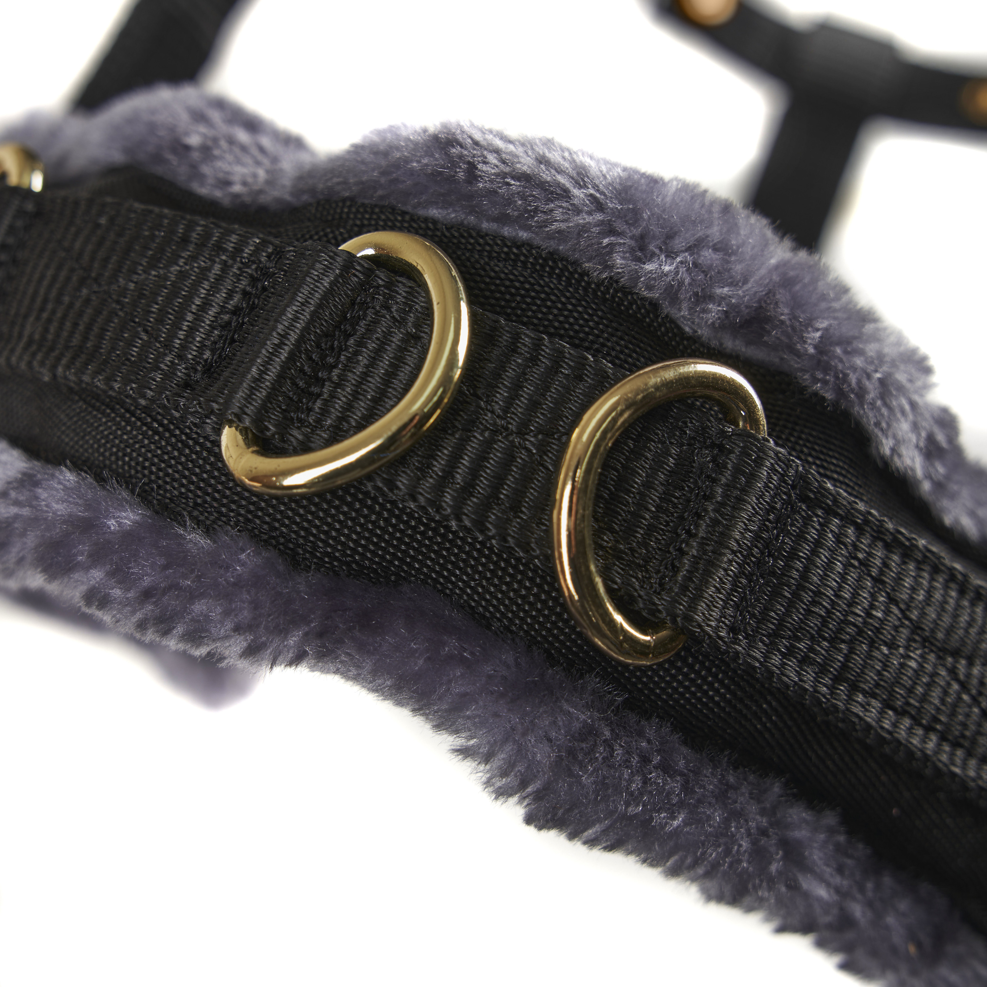Shires Fleece Lined Lunge Cavesson in Black 4168