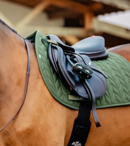 Amigo Jump Saddle Pad - Bramble