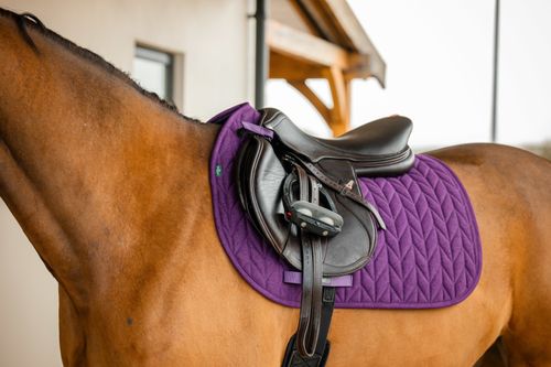 Amigo Jump Saddle Pad - Winterberry