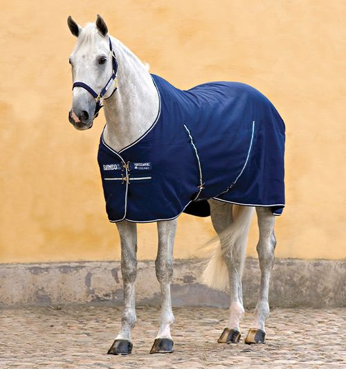 OVERSTOCK: Rambo Stable Sheet - 63 - Navy/Navy/White