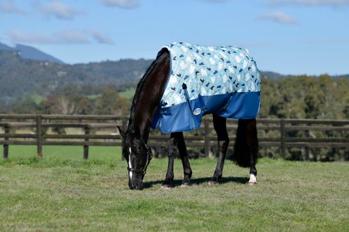 Weatherbeeta Comfitec Essential Standard Neck Medium - Winter Print