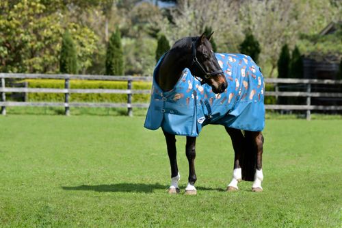 Weatherbeeta Comfitec Essential Standard Neck Medium - Beaver Print