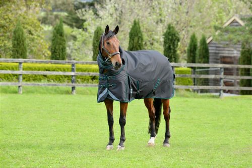 Weatherbeeta Comfitec Plus Dynamic II Detach-A-Neck Medium - Gray/Dark Green/White