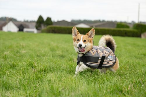 Weatherbeeta Comfitec Essential Dog Coat - Gray Navajo Print