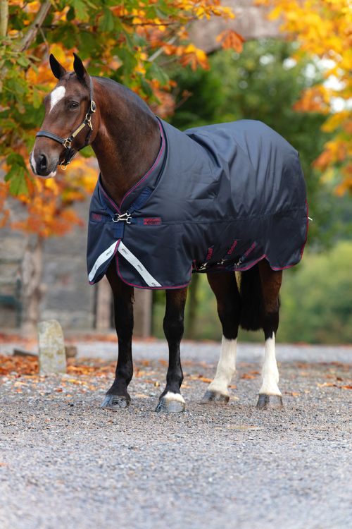 READY TO SHIP: Amigo Bravo 12 XL Original Turnout Lite - 75 - Navy/Navy/Red