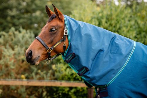 READY TO SHIP: Rhino Hood 0g - X Large - Navy/Aqua/Grey/Aqua