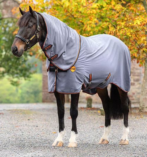 READY TO SHIP: Rambo Ionic Stable Sheet - 48 - Grey/Black/Orange