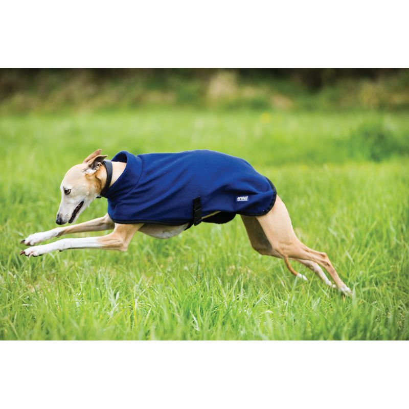 READY TO SHIP: Fleece Dog Rug - XX Small - Navy/Black - Tack Of The Day