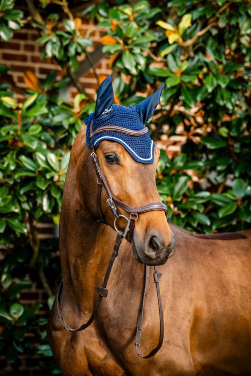 READY TO SHIP: Horseware Signature Ear Net - Cob/Horse - Navy