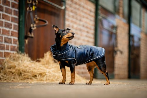 READY TO SHIP: Horseware Signature Dog Rug - Small - Navy