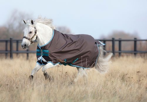 READY TO SHIP: Amigo Bravo 12 Original Pony Turnout 0g - 45 - Excalibur/Aqua/Turquoise