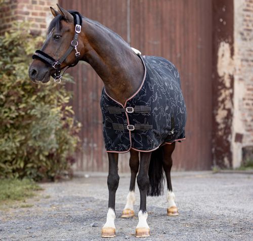 Horze Pegasus Pony Fleece Cooler - Caviar