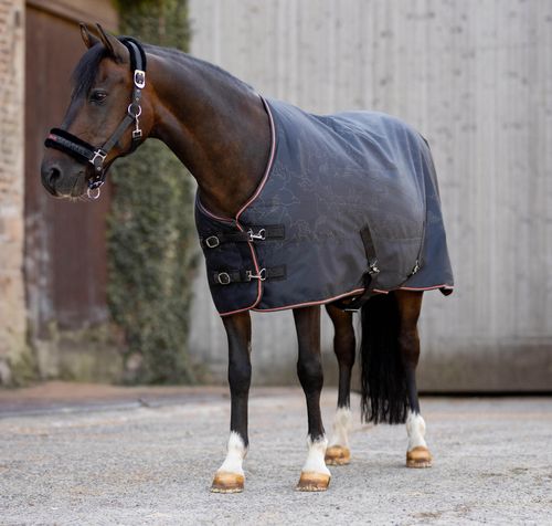 Horze Pegasus Pony Mid Weight 200gsm Turnout Blanket - Caviar