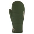 Chive Green