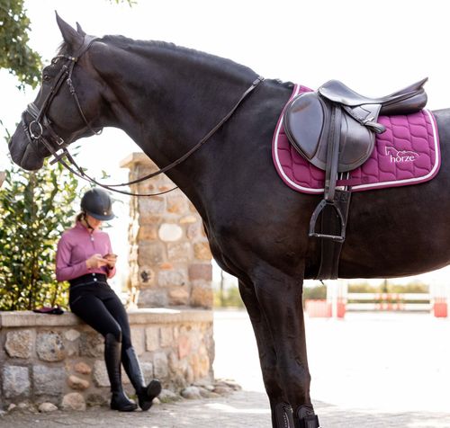 Horze Eternal Gaze All Purpose Saddle Pad - Purple Potion