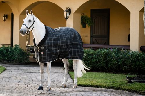 Rhino Original Stable Blanket 250g - Black/Grey/White/Gray