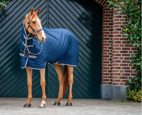 Amigo Disc Front Stable Blanket Plus Medium - Navy/Titanium Grey/Silver