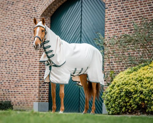 Rambo Hoody - Chalk/Hunter Green/Silver