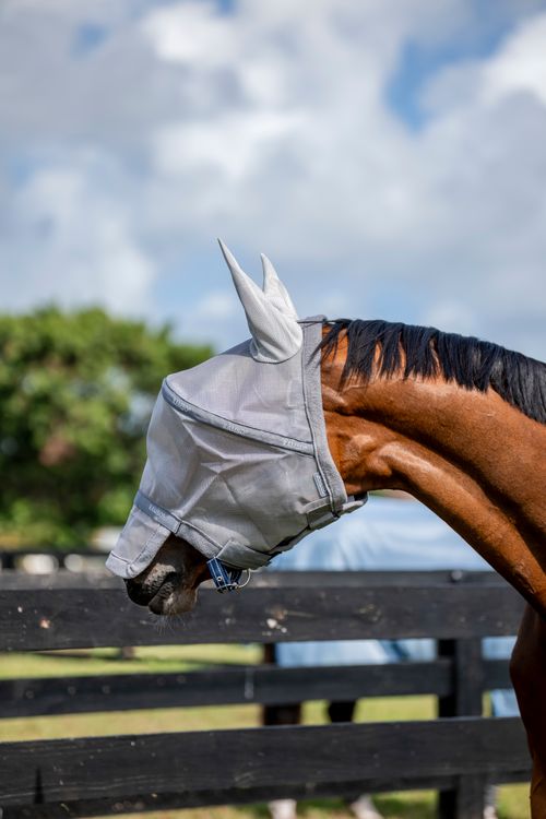 Rambo Fly Mask Plus - Silver/Titanium Grey/Silver