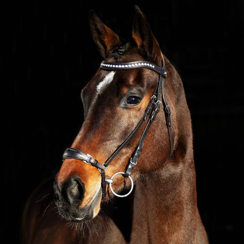 OPENBOX: Horze Bergen Leather Remont Bridle - Cob - Brown