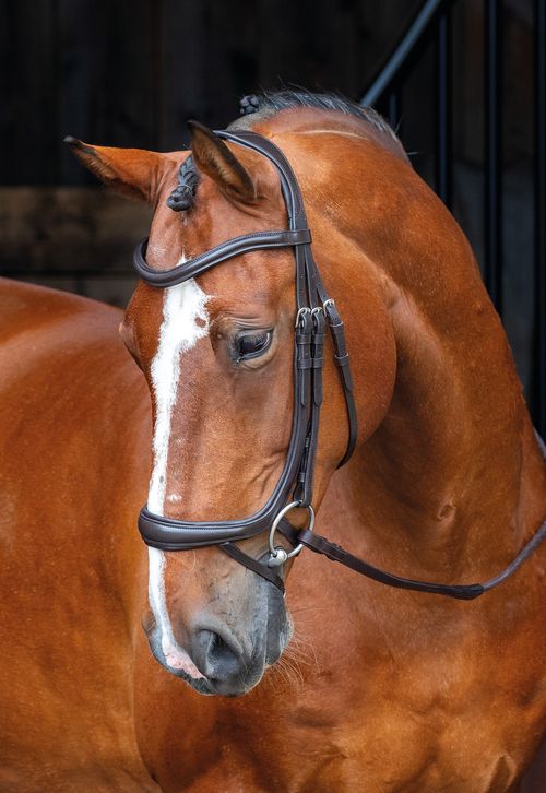 OPENBOX: Shires Velociti Rapida Ergonomic Curved Flash Bridle - Cob - Havana