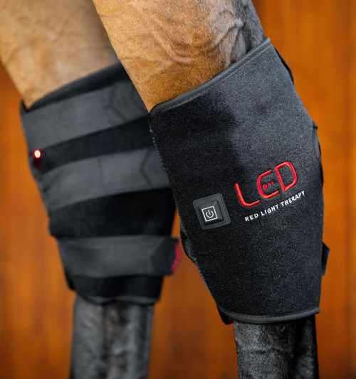 Horseware LED Red Light Therapy Hock Boot - Black/Black