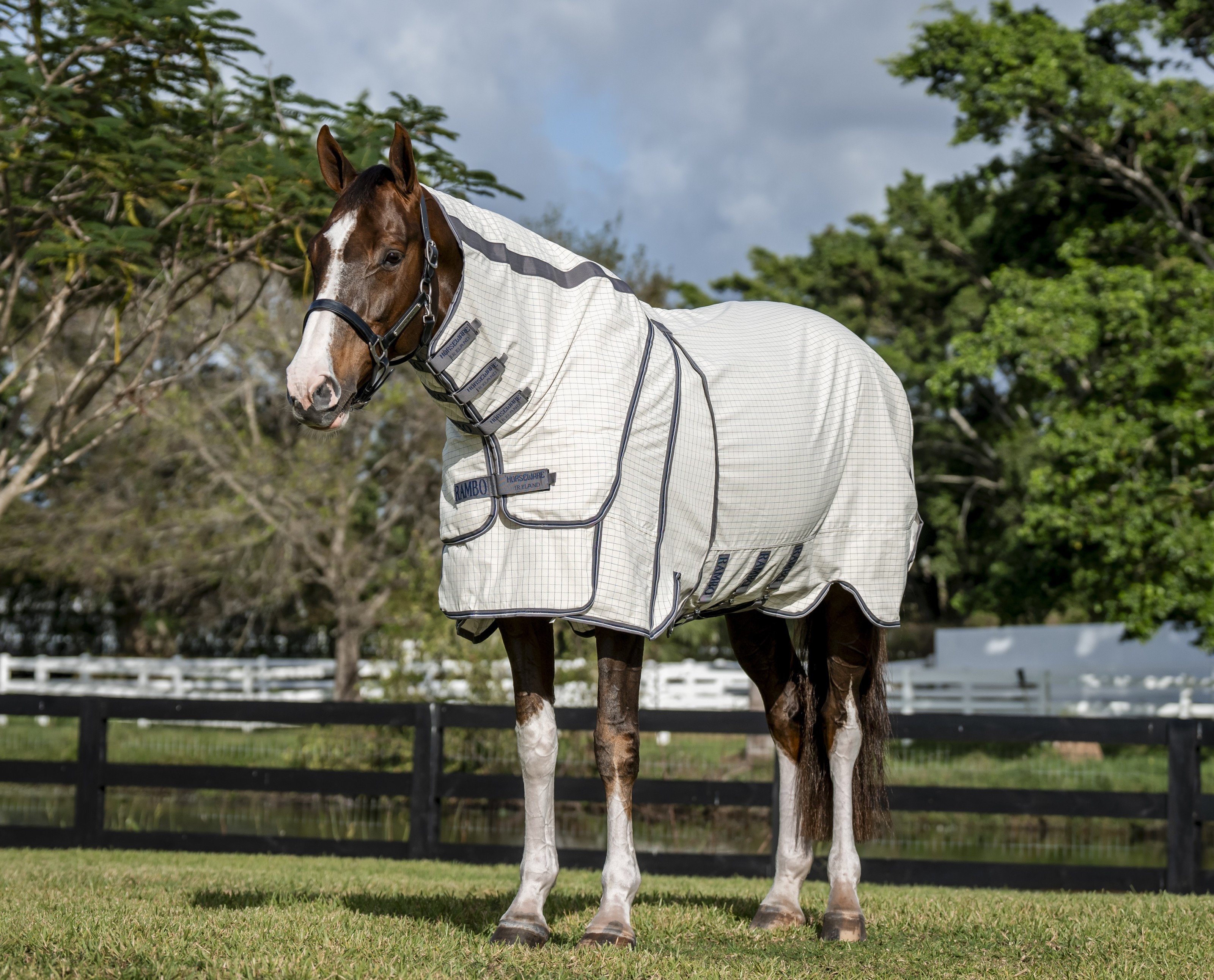 Rambo Optimo Supreme Summer Sheet - Navy Check/Thunderstorm Grey/Silver ...